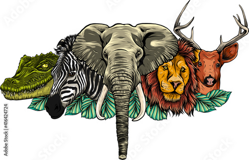 Cartoon african wild animals on white background