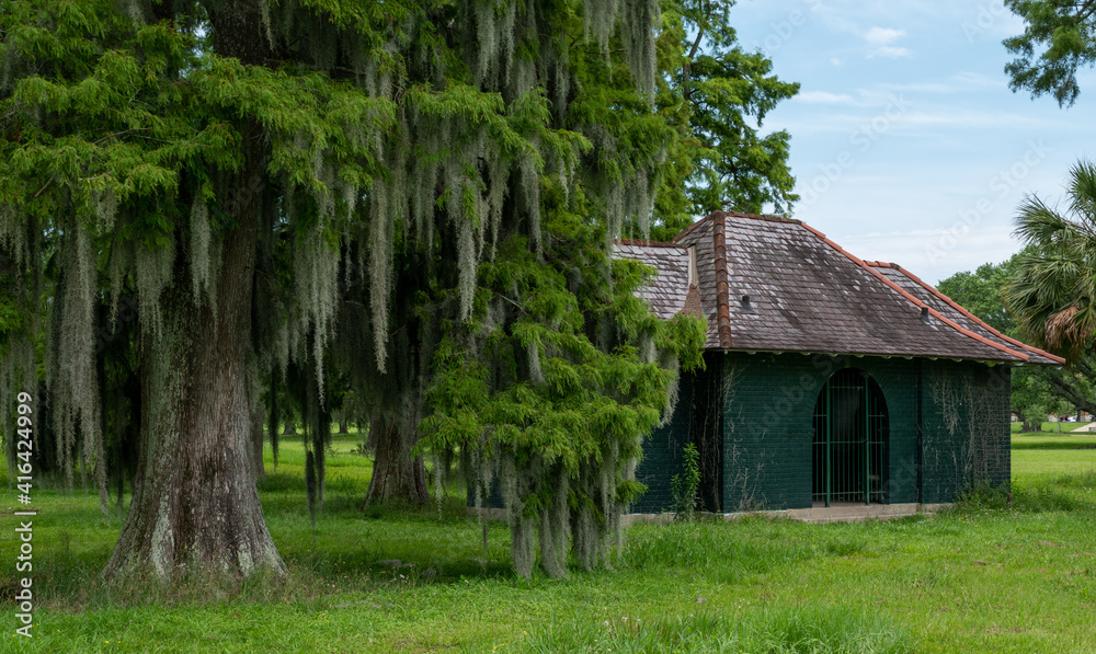 Old abandon building next to an old oak tree