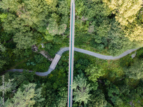 Fototapeta Naklejka Na Ścianę i Meble -  Overlapping bridge and path