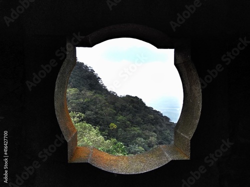 view from the window