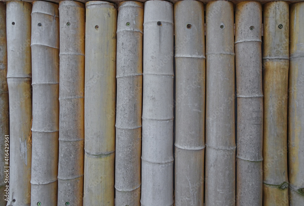 natural background, fence of bamboo trunks, selective focus natural background, fence of bamboo trunks, selective focus