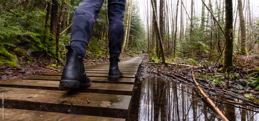 Girl Walking on a Mystical Trail in Rain Forest during a foggy and rainy Winter Season. Woods in Squamish, North of Vancouver, British Columbia, Canada. Low Angle Panorama Girl Walking on a Mystical Trail in Rain Forest during a foggy and rainy Winter Season. Woods in Squamish, North of Vancouver, British Columbia, Canada. Low Angle Panorama
