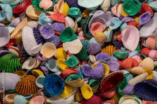 A collection of multi colored seashells, Canon Beach, Oregon