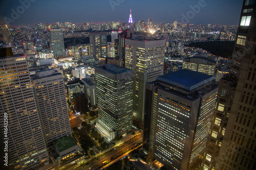 Tokyo skyline from Tokyo Metropolitan Government Building at dusk