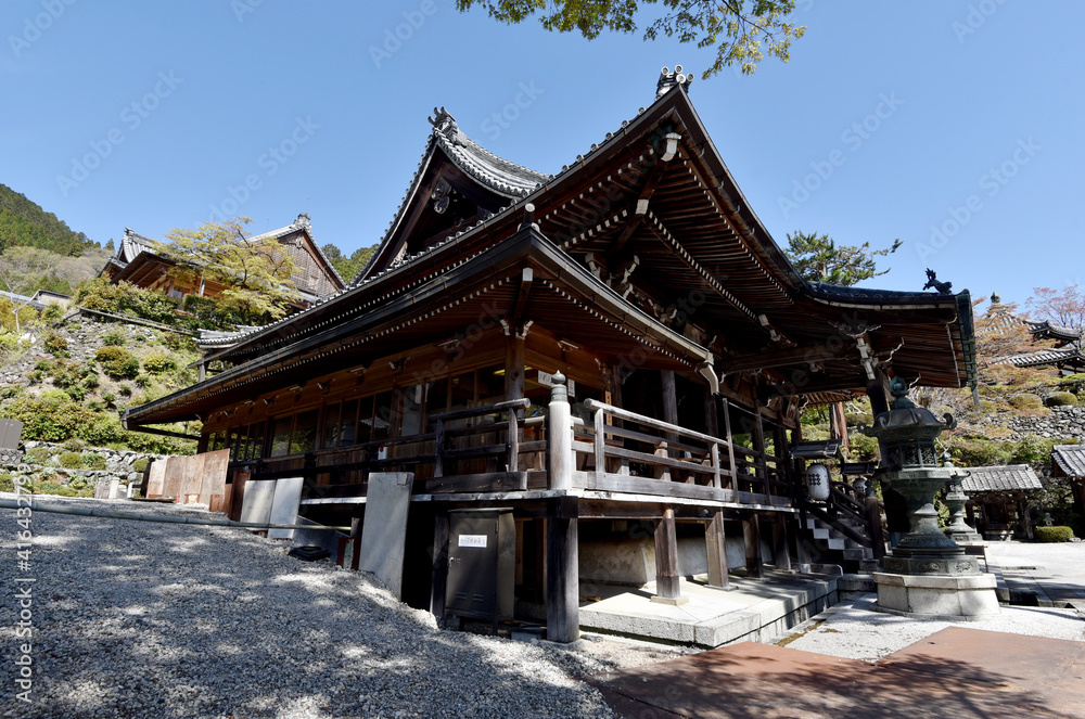 春の善峯寺　観音堂　京都市