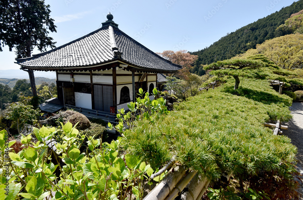 春の善峯寺　護摩堂と遊龍の松　京都市