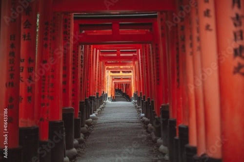 Fushimi Inari-taisha Torii gates, Kyoto, Japan #416433186
