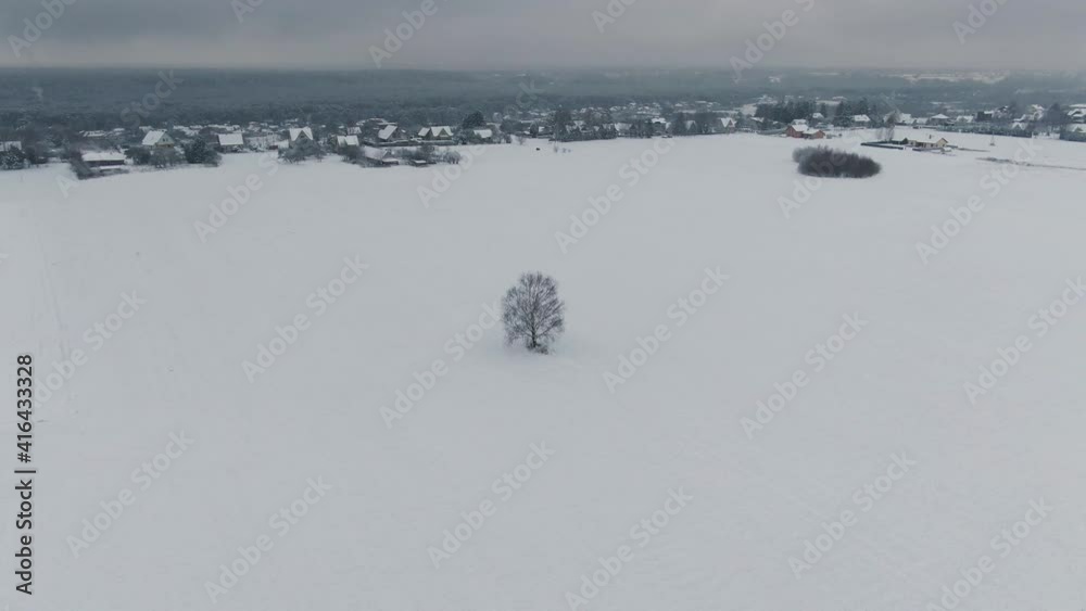Aerial drone panorama shot of lone tree in winter. Aerial drone panorama shot of lone tree in winter.
