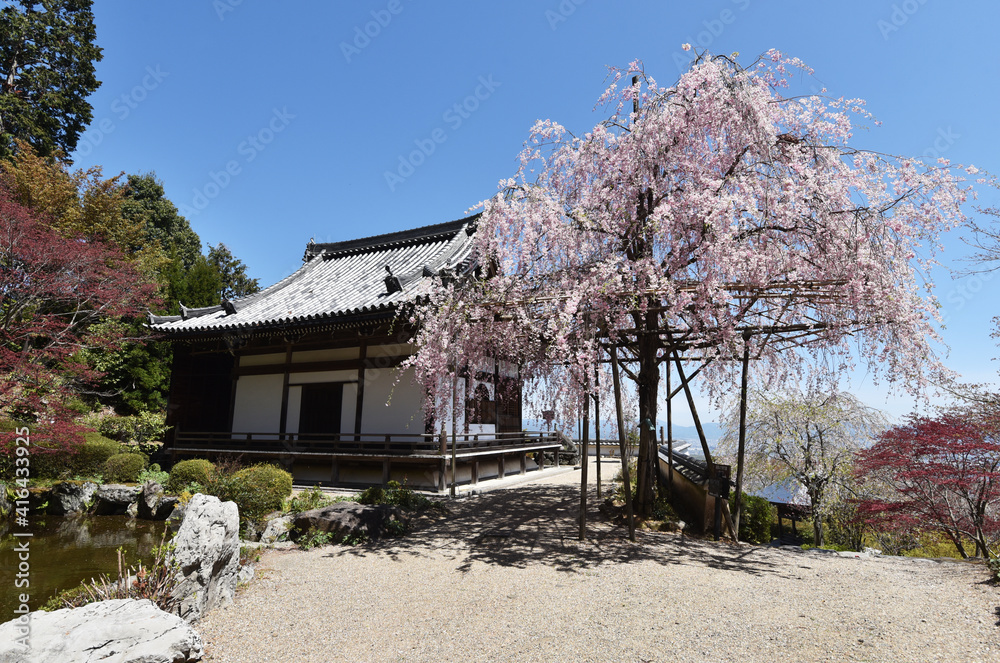 春の善峯寺 薬師堂 京都市 春の善峯寺 薬師堂 京都市