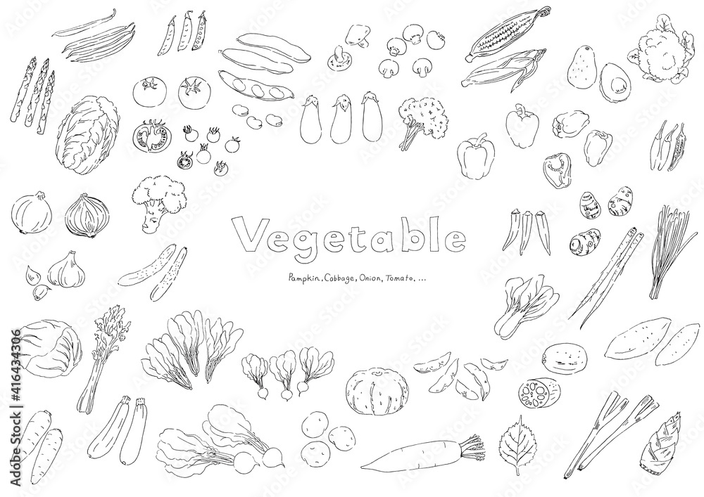 野菜のイラストセット-手描き 野菜のイラストセット-手描き
