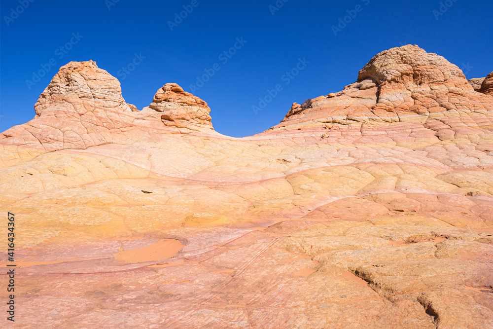 Fototapeta premium The beautiful landscape and rock formations of Coyote Buttes South in the Vermilion Cliffs National Monument in northern Arizona