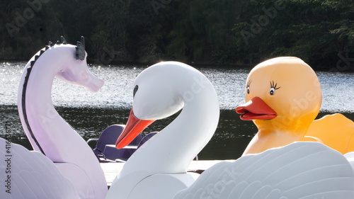 Swan boats on a pond in a park in Fort Lauderdale, Florida, USA photo