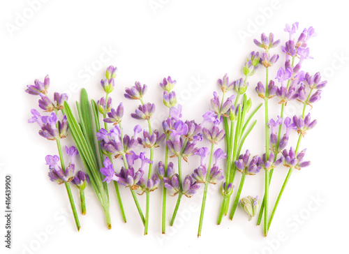 Lavender flowers bundle on a white background