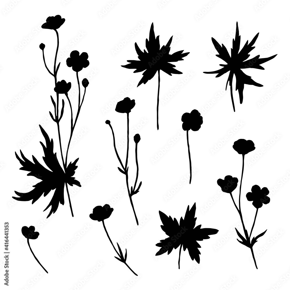 Big set of meadow flowers. Silhouettes of buttercups isolated on white background.