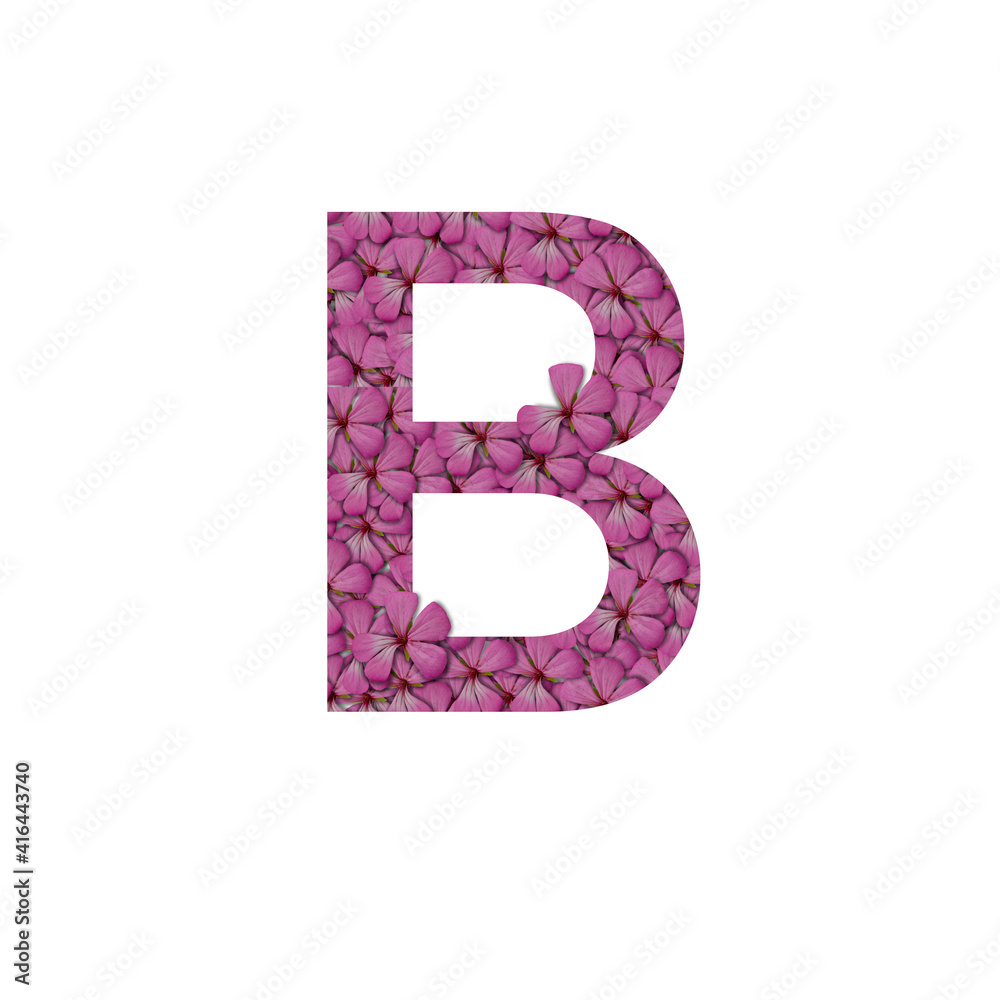 Letter B of the alphabet with photography of pink flowers. Letter B made from flowers isolated on white Photo. Alphabet symbols with flowers texture pattern