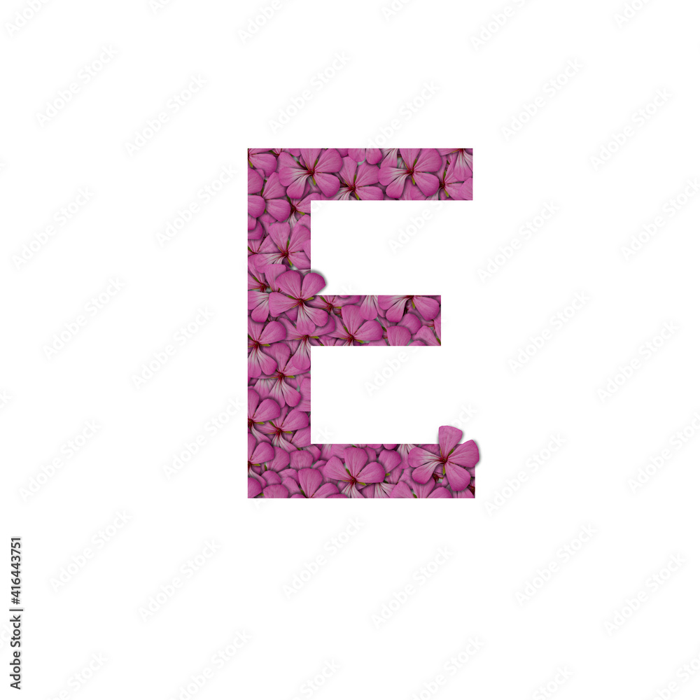 Letter E of the alphabet with photography of pink flowers. Letter E made from flowers isolated on white Photo. Alphabet symbols with flowers texture pattern