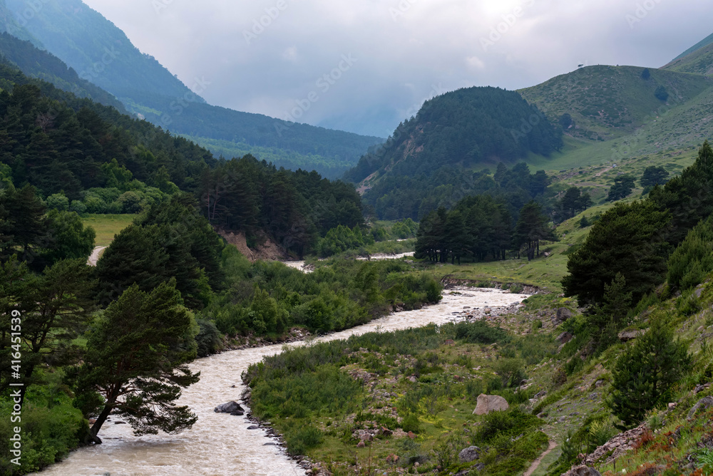 Beautiful view of narrow mountain river in summer