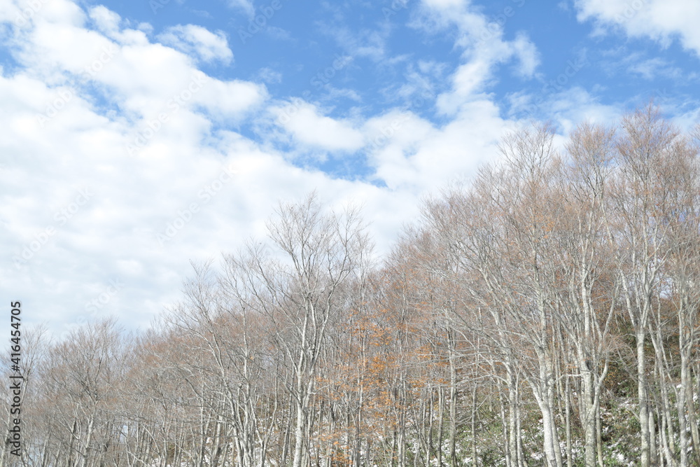 晴れた冬の山頂と空 晴れた冬の山頂と空