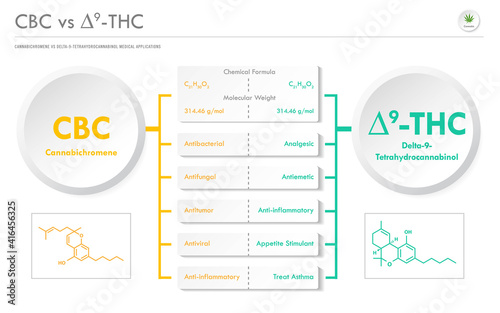 CBC vs ∆9-THC, Cannabichromene vs Delta 8 Tetrahydrocannabinol horizontal business infographic illustration about cannabis as herbal alternative medicine and chemical therapy, healthcare vector.