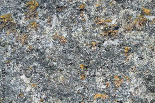 Surface of sulfide copper-nickel disseminated ore. Mineral composition: chalcopyrite, pyrrhotite, pentlandite, cubinite, platinum group. Golden shiny drops of ore.