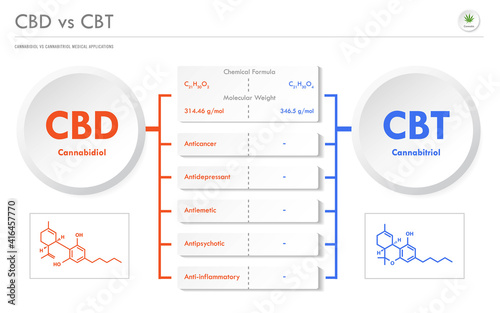 CBD vs CBT, Cannabidiol vs Cannabitriol horizontal business infographic illustration about cannabis as herbal alternative medicine and chemical therapy, healthcare and medical vector.