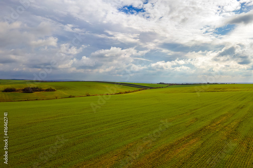 Aerial view of bright green agricultural field in early spring.