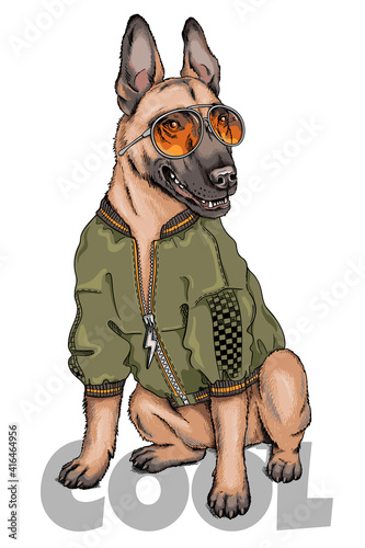 Belgian shepherd malinois illustration. . Сool dog wearing sunglasses. Hand drawn style illustration. Stylish image for printing on any surface