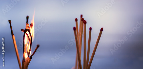 burning matches and not burrning matches on lilac blurred background. Concept of anger and calmness photo