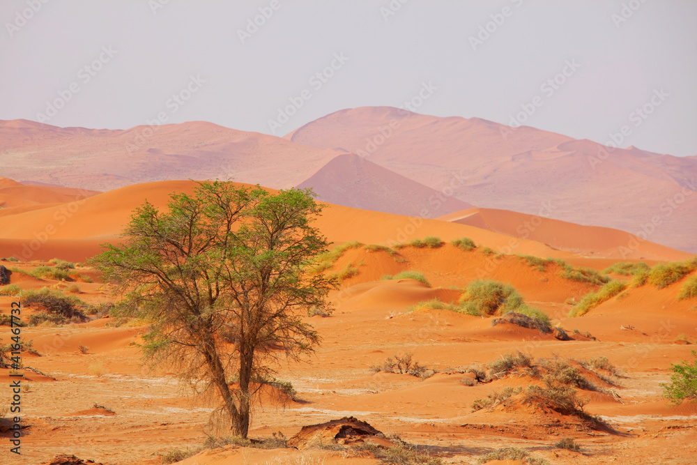 Sand desert in Namib