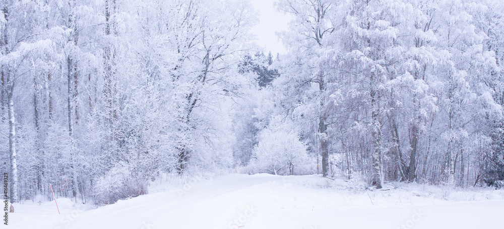 Fototapeta premium Wintry landscape with snow and frost