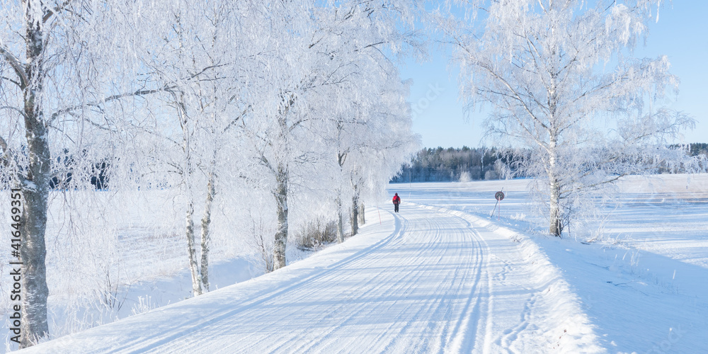 Obraz premium Wintry landscape with snow and frost