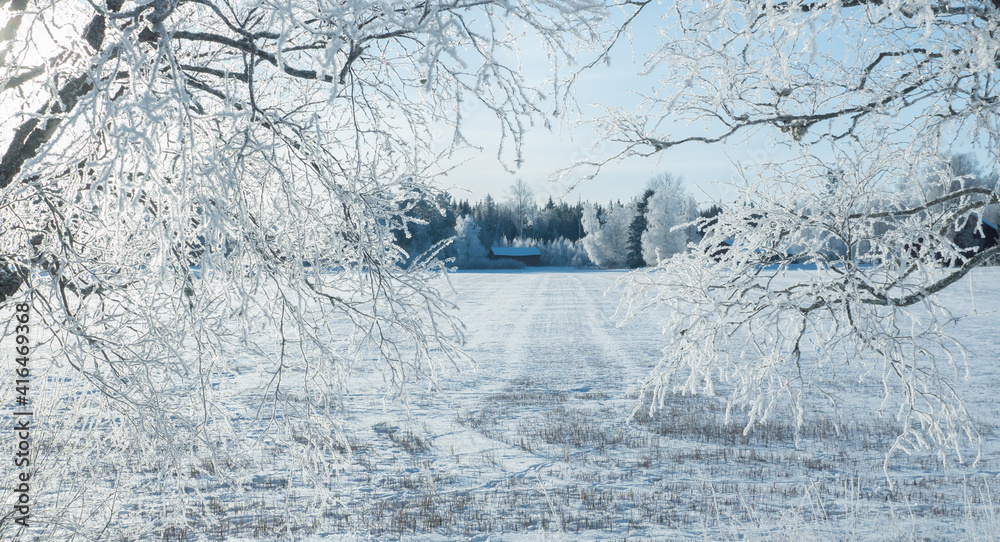Fototapeta premium Wintry landscape with snow and frost