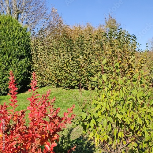 Nature