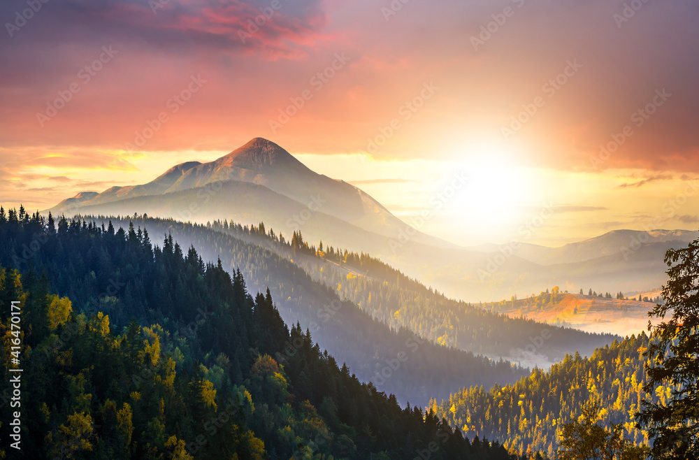 Sunset landscape with high peaks and foggy valley with autumn spruce forest under vibrant colorful evening sky in rocky mountains.