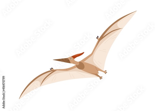 Flying pterosaur or pterodactyl dino. Extinct dinosaur of ancient jurassic period. Prehistorical character. Colored flat cartoon vector illustration isolated on white background