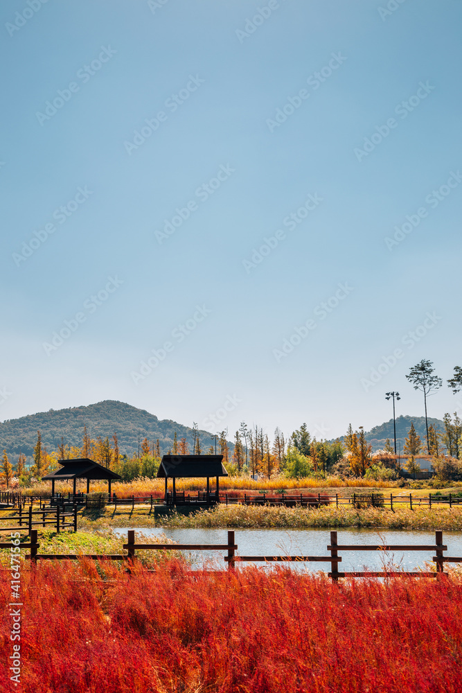 Autumn of Gaetgol Eco Park in Siheung, Korea