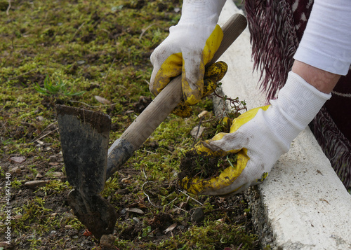 Foto close up of woman hands gardening