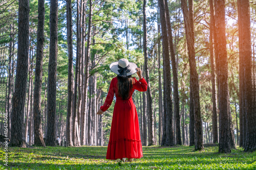 Woman tourist is traveling into pine tree garden at chiang mai province, Thailand.