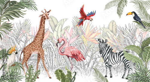 Plakat Zwierzęta w dżungli