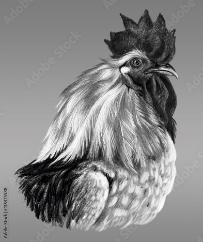 Graphic drawing. Head of rooster in profile on a gray background.