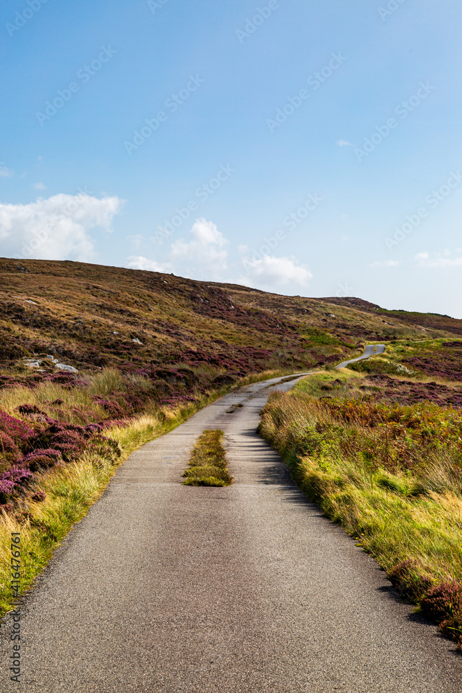 A Rural Road though a North Uist Landscape, with Heather growing on the Hills