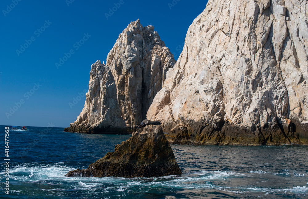 landscape of rocky coast of the ocean with sea lion on the rock 