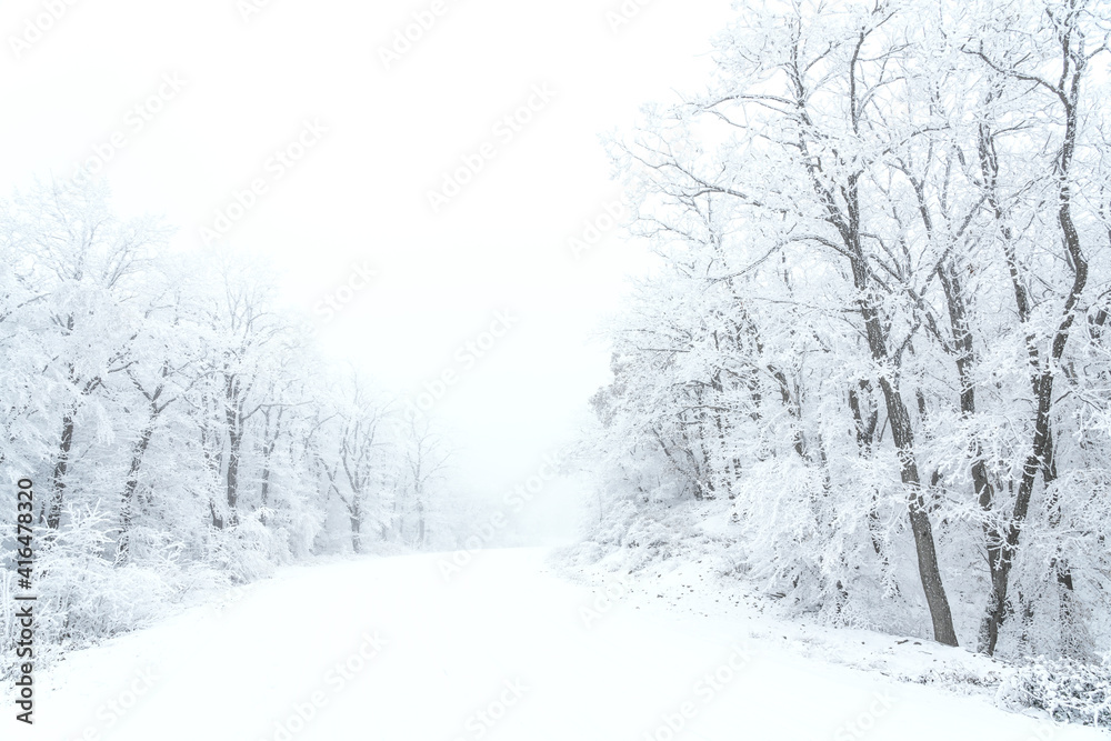 Snowy road in winter forest Snowy road in winter forest