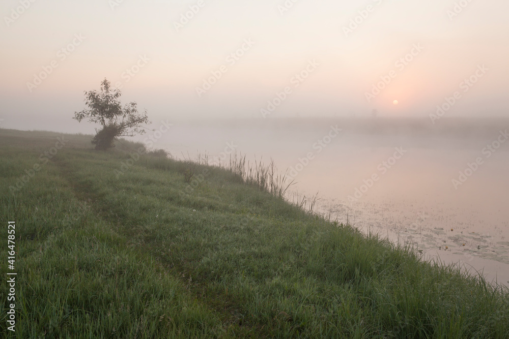 Dawn over a misty lake in spring