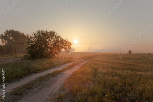 Country road at sunrise. Dawn in a spring meadow.