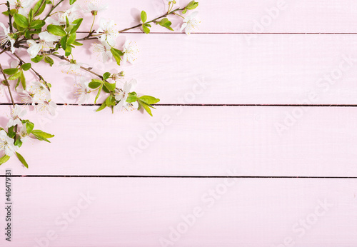 Flowering Cherry branches with green leaves on light pink wooden board. Top view with copy space. Flat lay