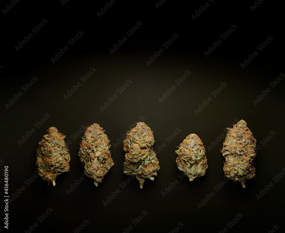 Marijuana buds in row, top view. Medicinal cannabis flowering on black background. Hemp recreation, medical usage, legalization.