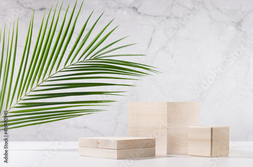 Wooden podiums with green palm leaf in sunlight on white wood table and marble wall. Fashion showcase for cosmetic products  goods  shoes  bags  watches.