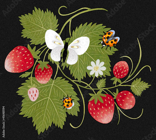 Hand drawn strawberry ornament isolated on black background. Art painting in warm colors.