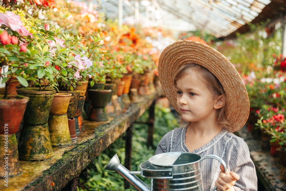 Obraz premium Child planting spring flowers. Little girl gardener plants azalea. Girl holding azalea bush in flower pot. Child taking care of plants. Toddler with flower basket. girl holding pink flowers